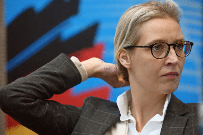 Alice Weidel Ohr Prothese